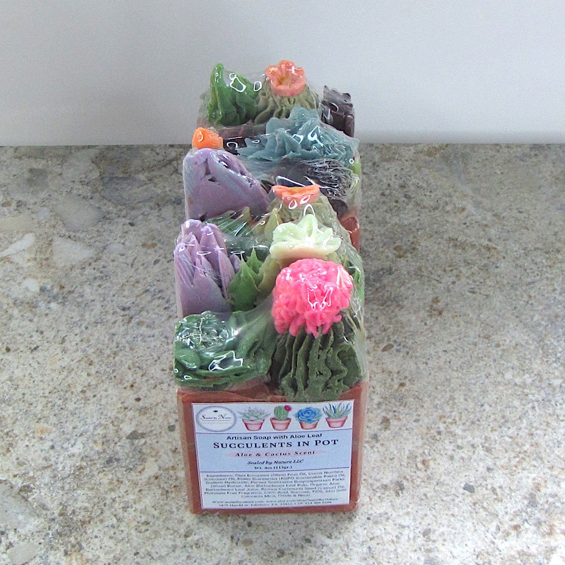 Packaged succulents in pots soap bars on a stone surface