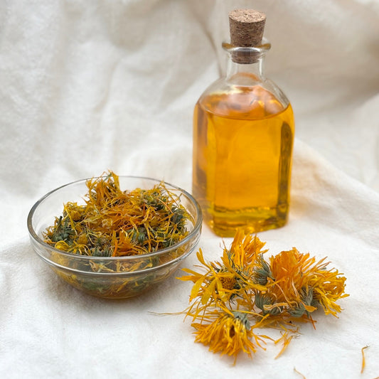 Dried Calendula flowers and infused oil in a bottle