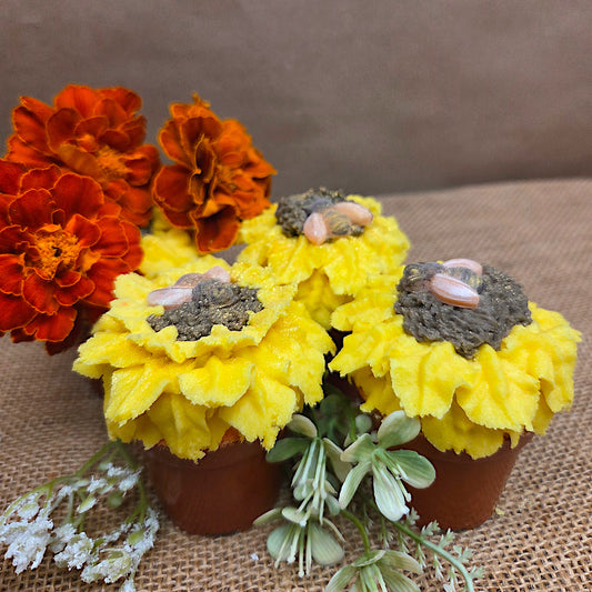 three small pots with sunflowers and bees