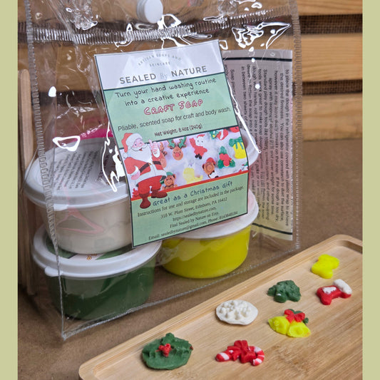 Craft Soap Kit - Christmas