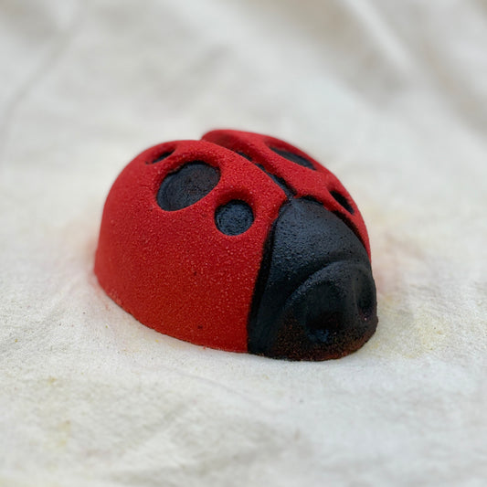 Ladybug Bath Fizzy