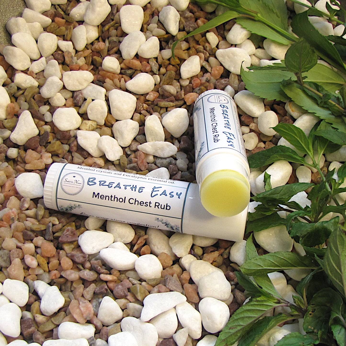 two white lipbalm stick on gravel, next to green plants